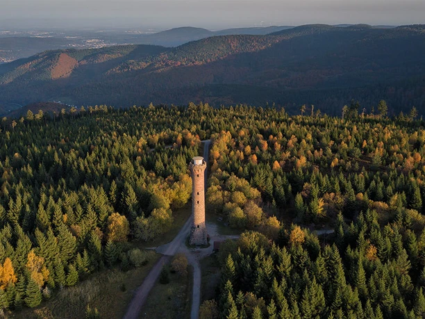 Wandervorschlag-Kaltenbronn-Hohlohsee-Hohlohturm