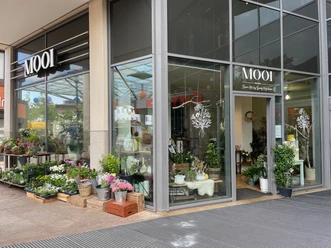 MOOI.jpg Zu sehen sind die Schaufenster und der Eingangsbereich des Blumengeschäfts. Vor den Schaufenstern sind verschiedene Blumen und Pflanzen ausgestellt.