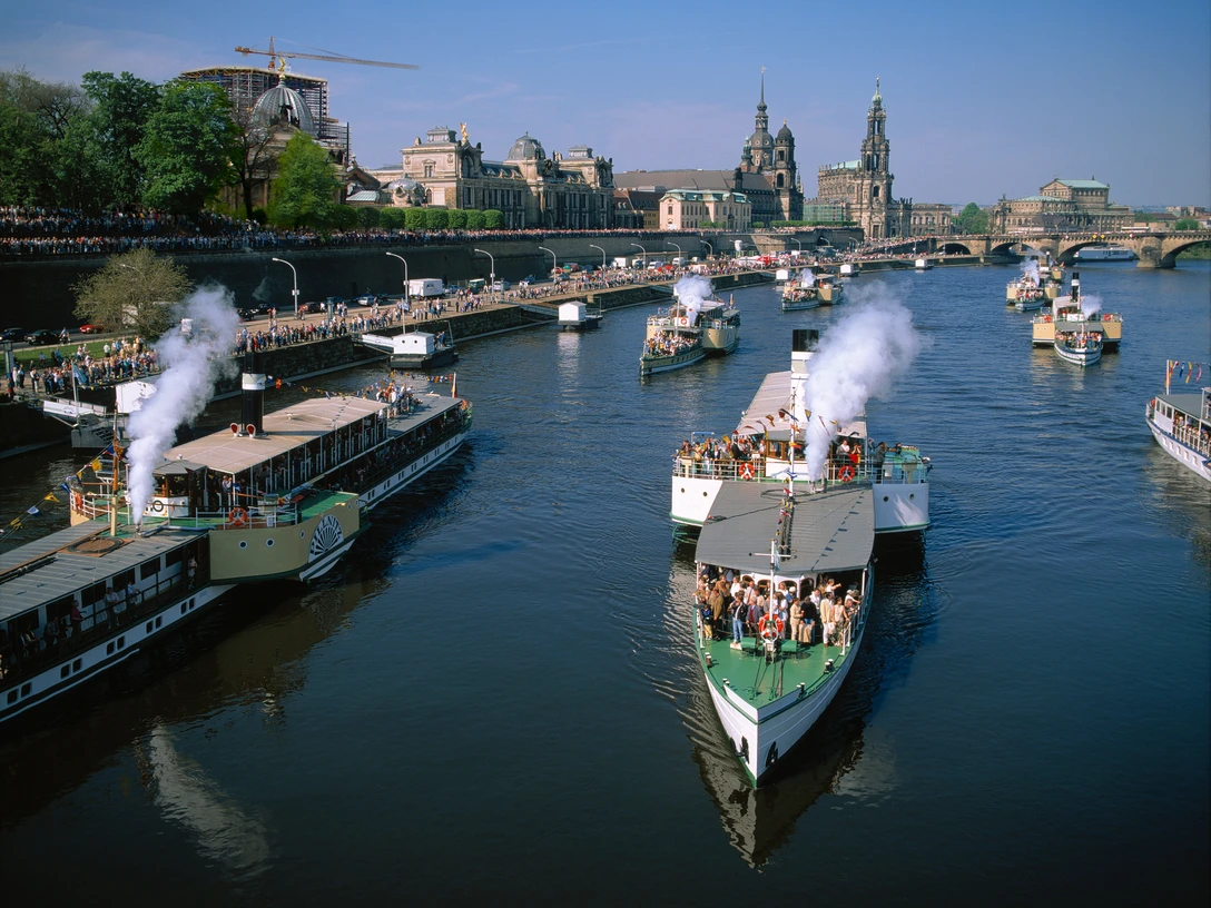 Dampferparade in Dresden Steamship parade in Dresden.jpg