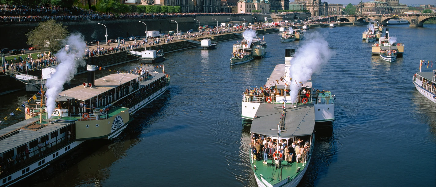 Dampferparade in Dresden Steamship parade in Dresden.jpg Dampfschiffe fahren auf der Elbe in Dresden, gesäumt von Zuschauern und historischer Architektur.