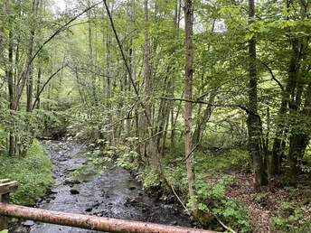 Bach Louisendorf Rundweg 2