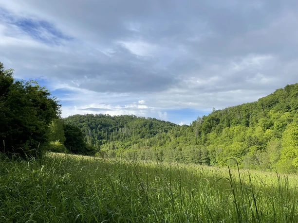 Louisendorf Rundweg 2