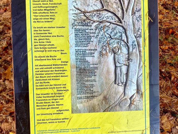 Fransziskusbuche Infoschild
