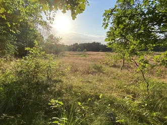 Gudendorfer Heide