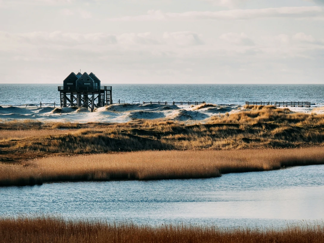 ulf-meyer-9INoNGy8Kfw-unsplash