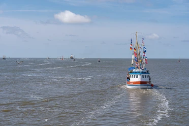 Büsum-Heiraten-Kutte~ TMS Büsum GmbH