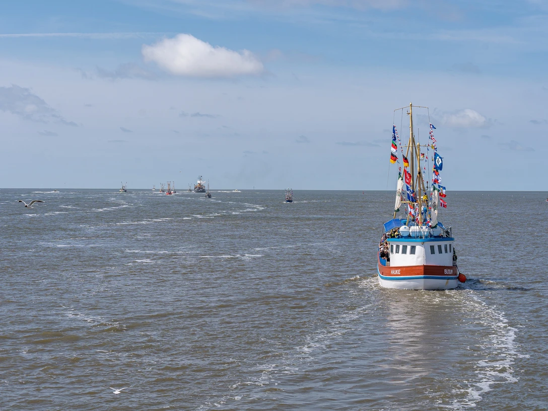 Büsum-Heiraten-Kutte~ TMS Büsum GmbH