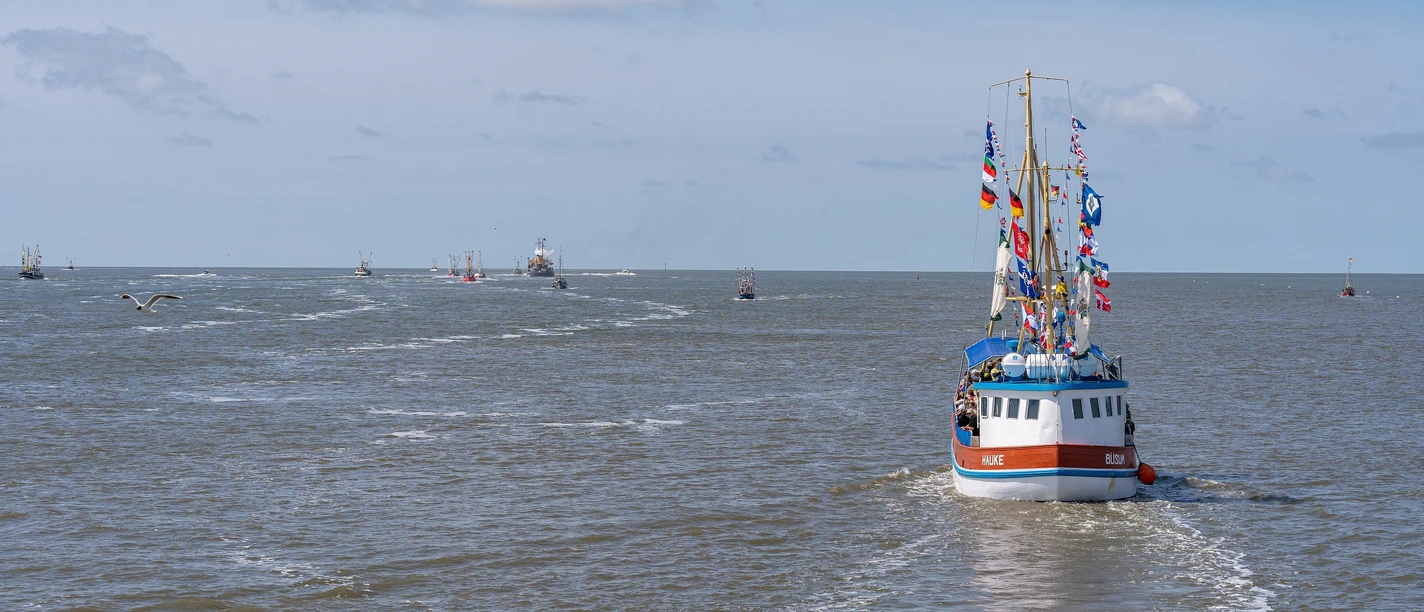 Büsum-Heiraten-Kutte~ TMS Büsum GmbH