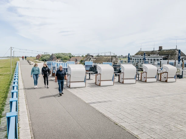 Nordfriesland_Nordstrand_MR_240620_94