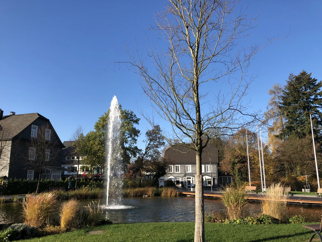 Dorfweiher Ein malerischer Dorfteich mit Springbrunnen, Bäumen und blauer Himmel.