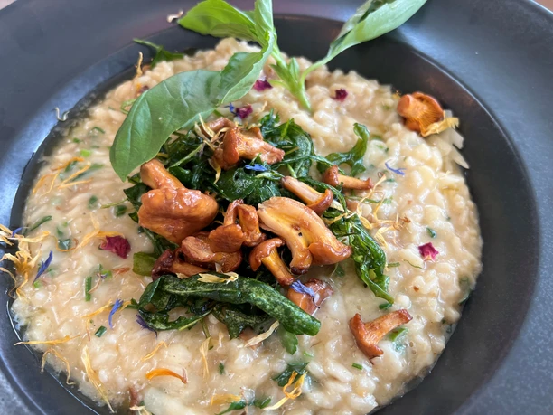 Romige risotto met verse kruiden en geroosterde cantharellen in een donkere schaal.