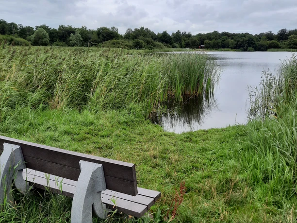 Arenholzer See