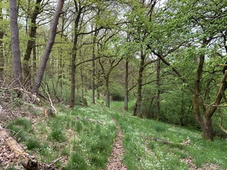 Lengeltal