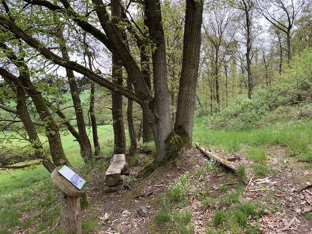 Rastplatz Lengeltal Rundweg 3