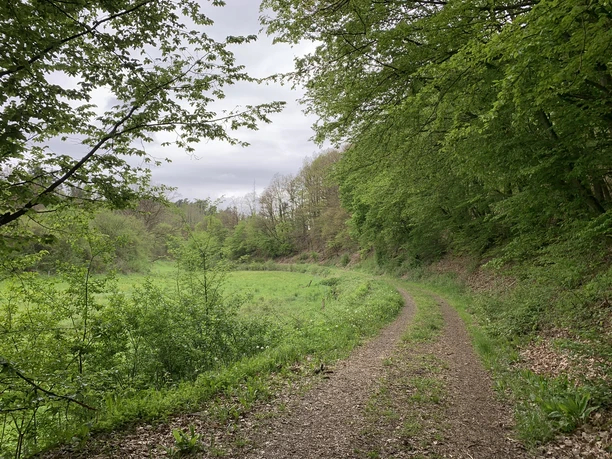 Lengeltal Rundweg 3