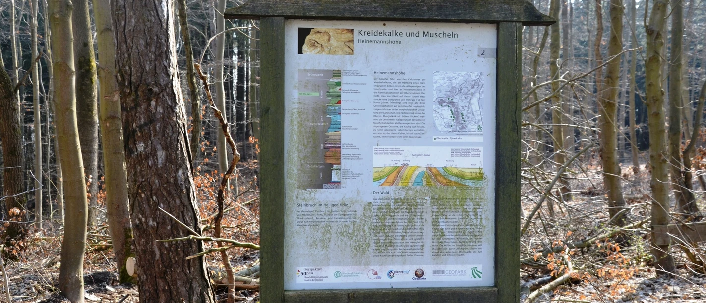 Infostele Heinemannshöhe auf dem Geopfad Salzgitter-Bad