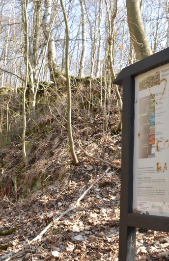 Infostele Flammenmergelsteinbruch auf dem Geopfad Salzgitter-Bad