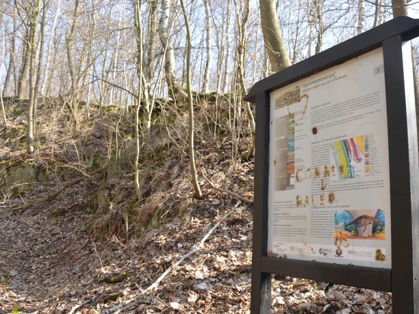 Infostele Flammenmergelsteinbruch auf dem Geopfad Salzgitter-Bad