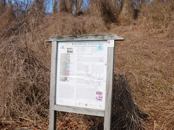 Infostele Salz auf dem Geopfad Salzgitter-Bad
