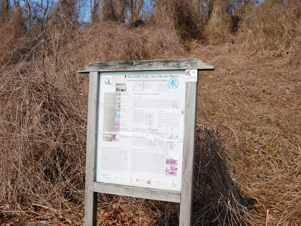 Infostele Salz auf dem Geopfad Salzgitter-Bad Infostele Salz auf dem Geopfad Salzgitter-Bad