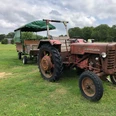Ein rustikaler roter Traktor mit Anhänger steht auf einer grünen Wiese unter wolkigem Himmel.A rustic red tractor with a trailer stands on a green meadow under a cloudy sky.En rustik rød traktor med anhænger står på en grøn eng under en overskyet himmel.Een rustieke rode tractor met aanhanger staat op een groene weide onder een bewolkte hemel.