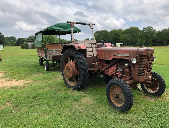 Ein rustikaler roter Traktor mit Anhänger steht auf einer grünen Wiese unter wolkigem Himmel.A rustic red tractor with a trailer stands on a green meadow under a cloudy sky.En rustik rød traktor med anhænger står på en grøn eng under en overskyet himmel.Een rustieke rode tractor met aanhanger staat op een groene weide onder een bewolkte hemel.