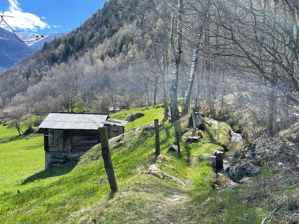 Geimerblatt