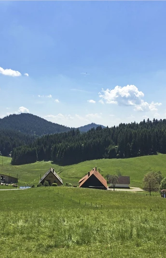 Blick auf Hof Landeck