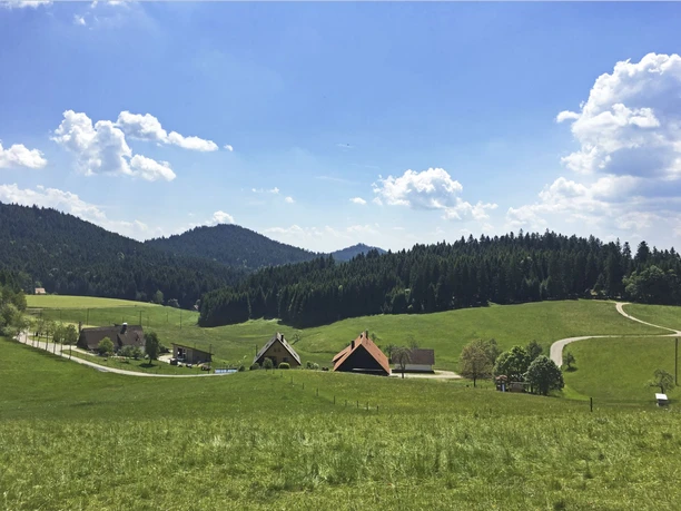 Blick auf Hof Landeck