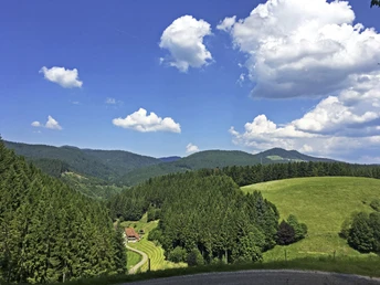 Aussicht am Wegekreuz