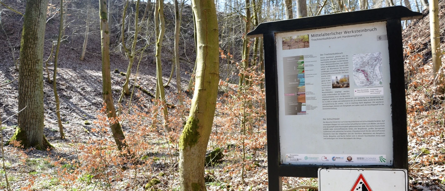 Infostele Trochitenkalkbruch auf dem Geopfad Salzgitter-Lichtenberg