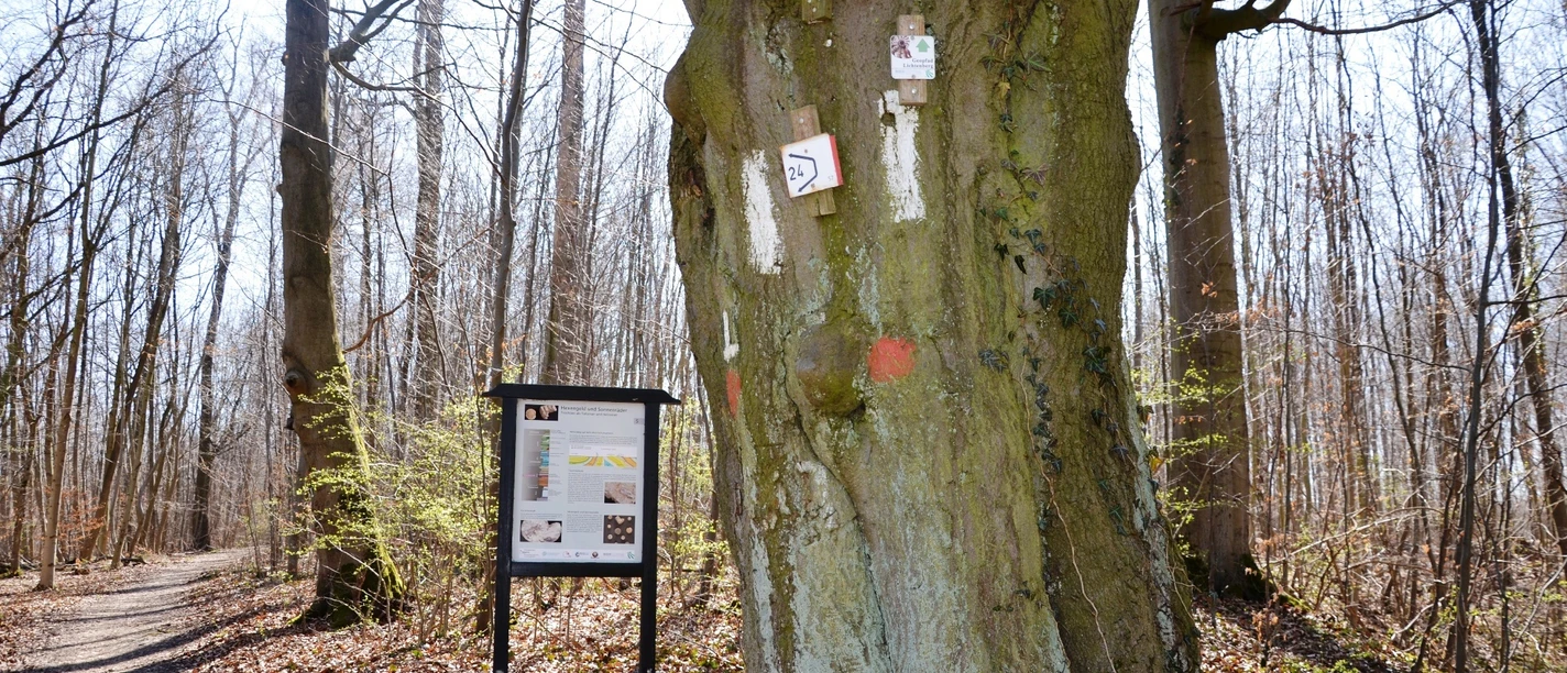 Infostele Fossilien auf dem Geopfad Salzgitter-Lichtenberg