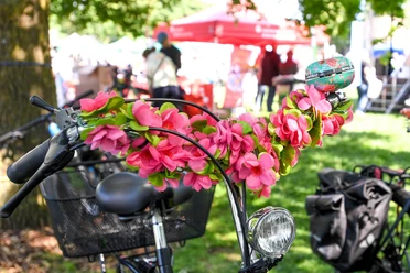 Pinke Blumen an einem Fahrradlenker beim Fahrradfrühling im Mai im MüGa-Park