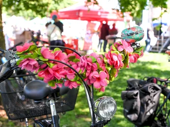 Fahrradfrühling, Mülheim an der Ruhr Pinke Blumen an einem Fahrradlenker beim Fahrradfrühling im Mai im MüGa-Park