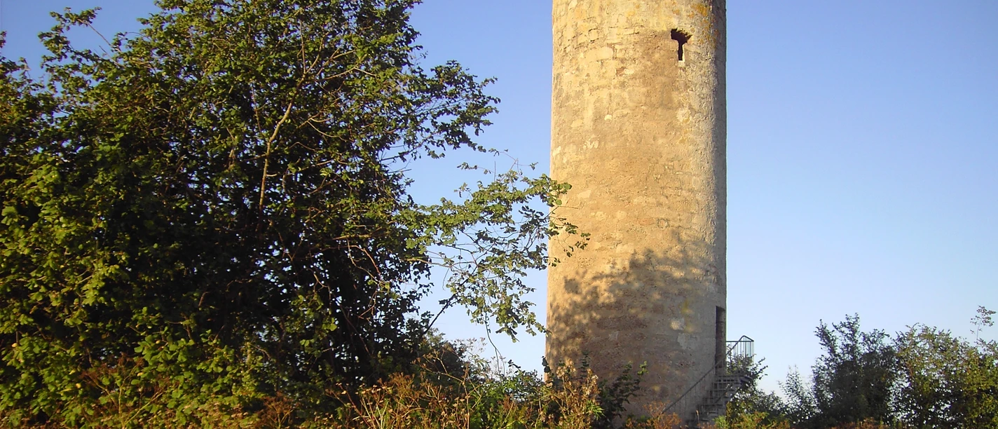 Donnersberger Warte (Mäuseturm)