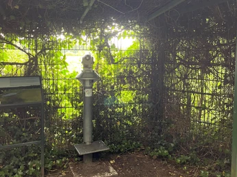 Fernrohr am Storchennest Fernroher zum Betrachten der Störche