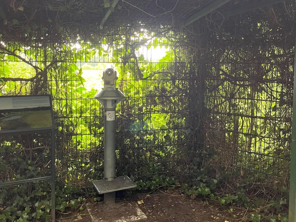 Fernrohr am Storchennest Fernroher zum Betrachten der Störche