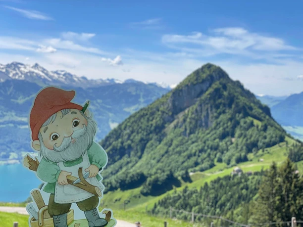 Zwärgliweg auf Rigi Bruggeist