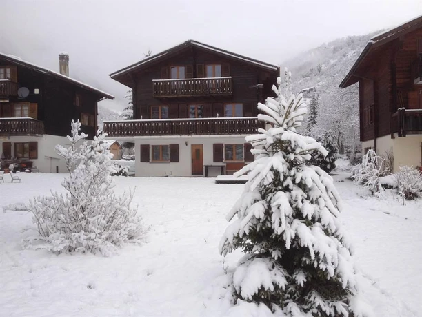 Chalet-winter
