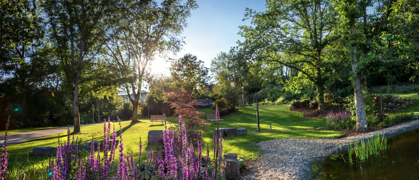 Eckenhagen Kurpark