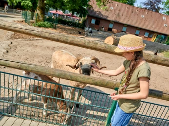 Witthausbusch Witthausbusch