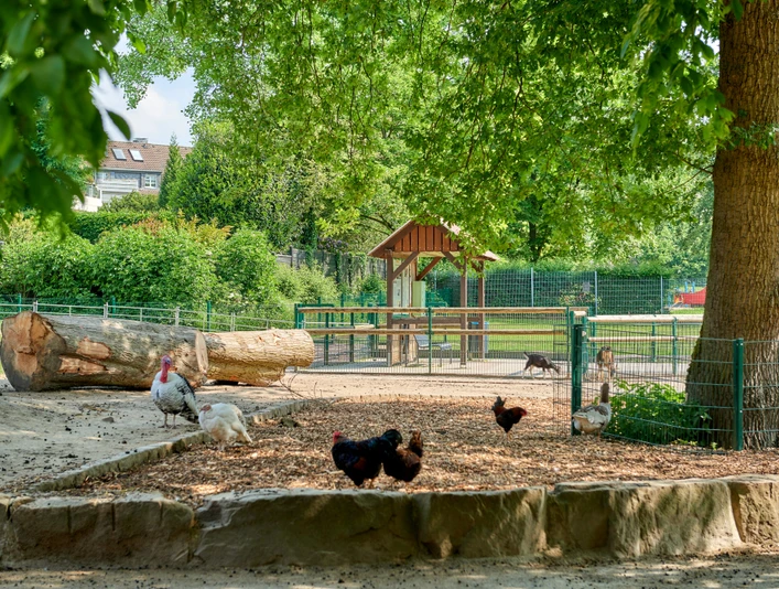 Witthausbusch Witthausbusch