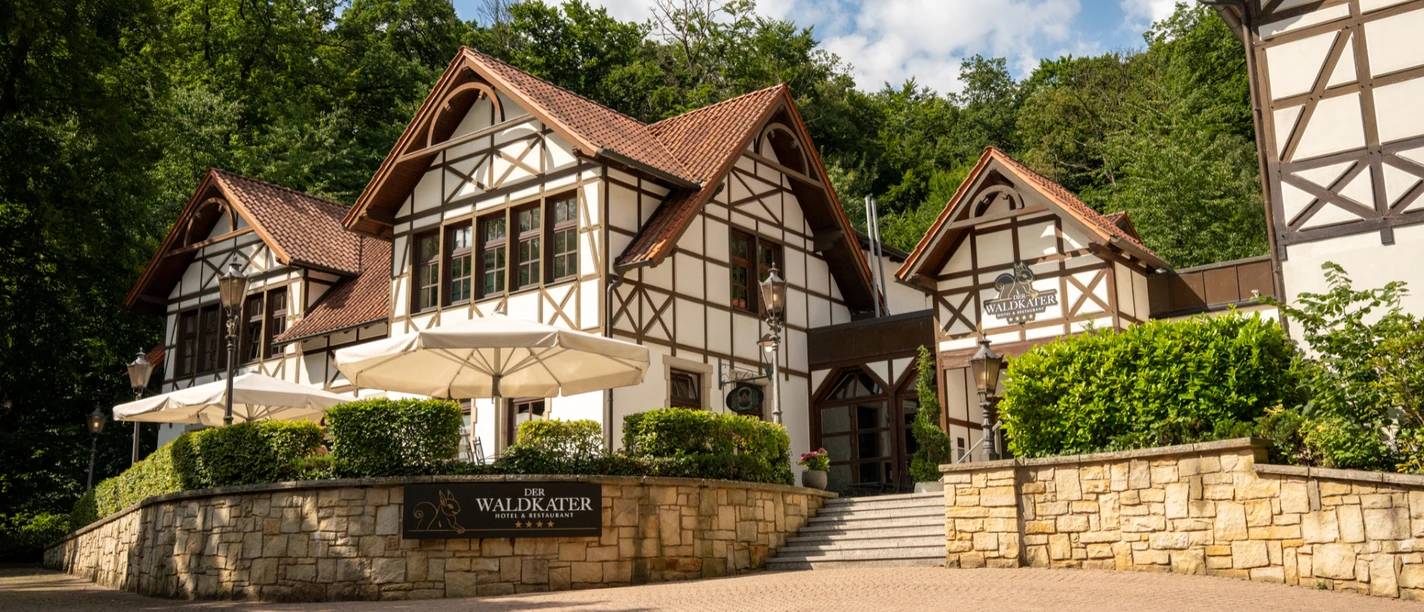 Außenbereich - Waldkater, Rinteln Außenbereich - Waldkater, Rinteln