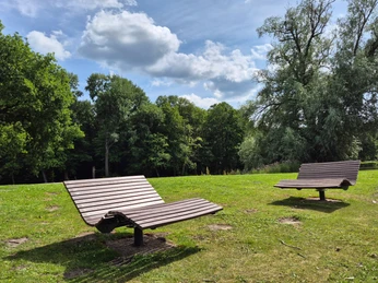 Liegen_Turnierplatz.jpg Das Bild zeigt zwei moderne Holzliegen auf einer weiten, grünen Wiese, umgeben von Bäumen unter einem leicht bewölkten Himmel.