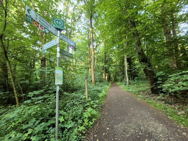 Knotenpunkt am Loyer Kirchweg