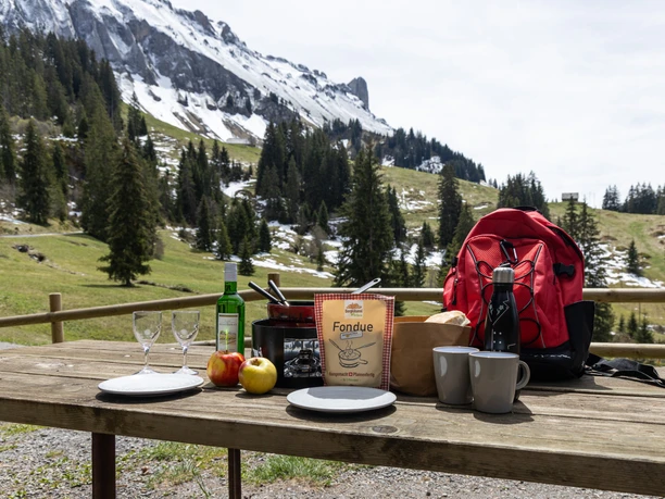 Blog_Frühling_Outdoorfondue Genuss_Marbach_Janine Hurni (9).jpg