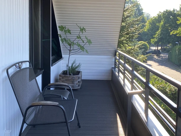 Balkon mit Pflanze -Tiemann.jpg