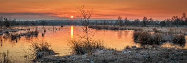 Naturschutzgebiet Hahnenmoor Sonnenuntergang über dem stillen Moorsee mit gefrorenem Gras und rötlich leuchtendem Himmel