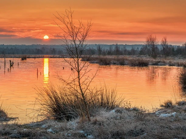 Naturschutzgebiet Hahnenmoor Sonnenuntergang über dem stillen Moorsee mit gefrorenem Gras und rötlich leuchtendem Himmel