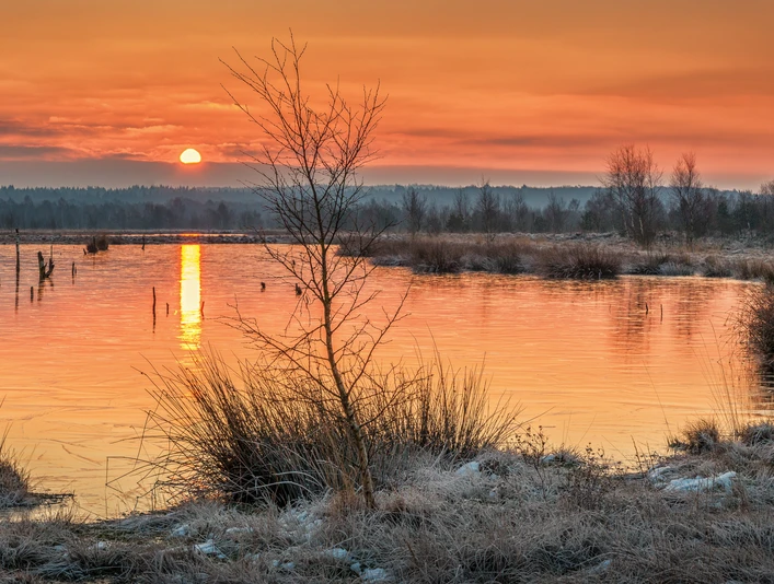 Naturschutzgebiet Hahnenmoor